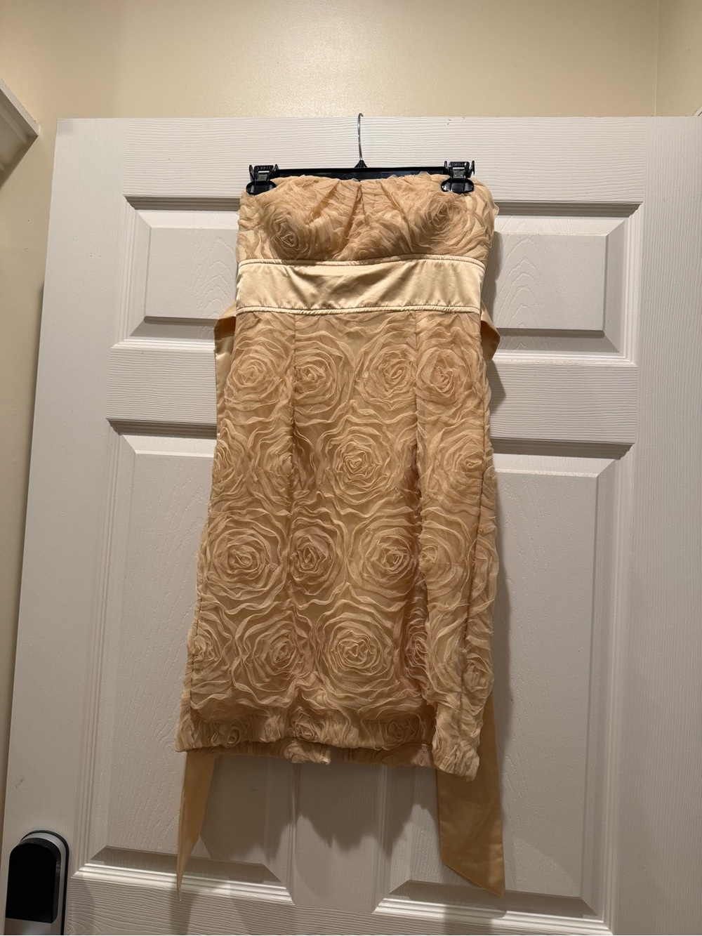 Sequin Hearts Strapless Rose-Overlay Dress in Champagne